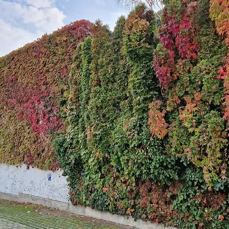 Apartment Residence Bratislava Daire