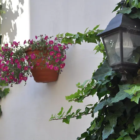 Daire Apartment Residence Bratislava