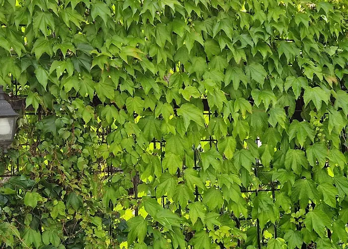 Apartment Residence Bratislava Bratislava